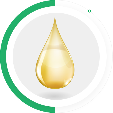 博源国际(中国)有限公司官网