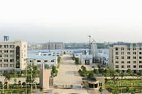 博源国际,油茶莳植生产加工销售,植物油莳植生产加工销售