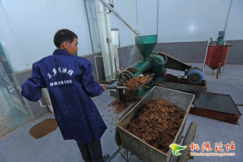 博源国际,油茶莳植生产加工销售,植物油莳植生产加工销售