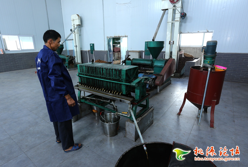 博源国际,油茶莳植生产加工销售,植物油莳植生产加工销售