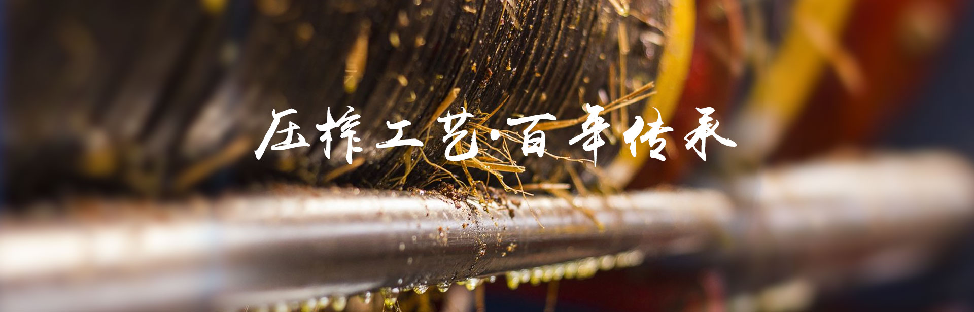 博源国际_油茶莳植生产加工销售|植物油莳植生产加工销售