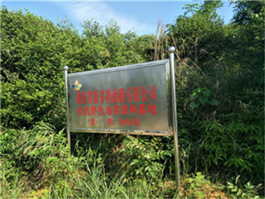 博源国际,油茶莳植生产加工销售,植物油莳植生产加工销售